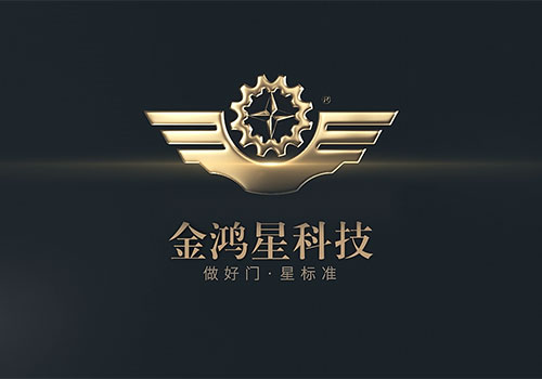 金鸿星宣传片